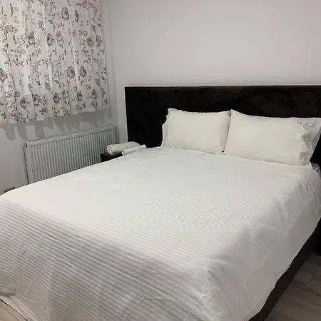 Vila Tree * Korce