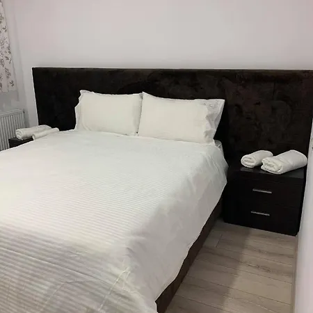 Vila Tree كورتشي